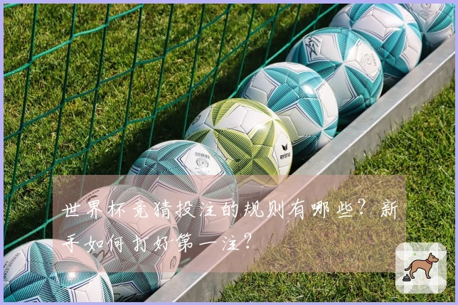世界杯竞猜投注的规则有哪些？新手如何打好第一注？