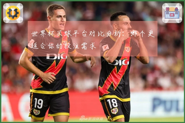 世界杯买球平台对比分析：哪个更适合你的投注需求