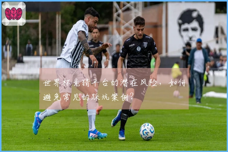 世界杯竞猜平台的潜在风险，如何避免常见的踩坑案例？