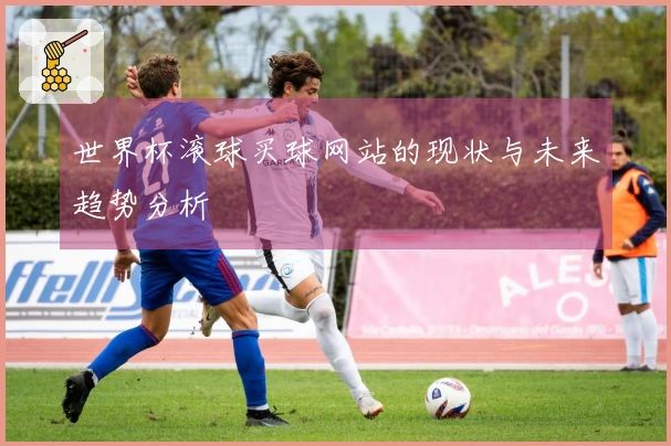 世界杯滚球买球网站的现状与未来趋势分析