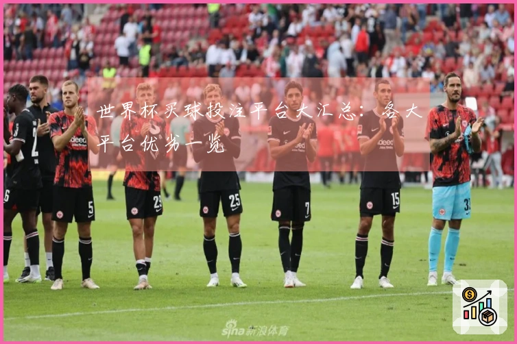 世界杯买球投注平台大汇总：各大平台优劣一览