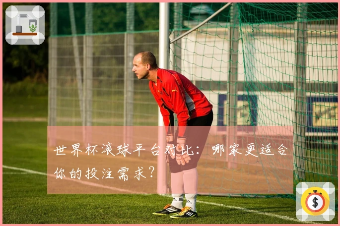 世界杯滚球平台对比：哪家更适合你的投注需求？