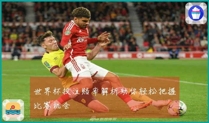 世界杯投注赔率解析助你轻松把握比赛机会