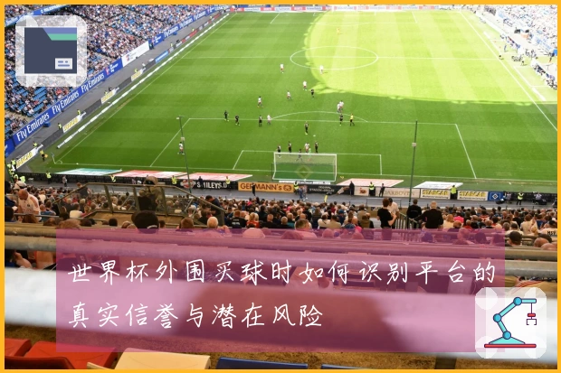 世界杯外围买球时如何识别平台的真实信誉与潜在风险