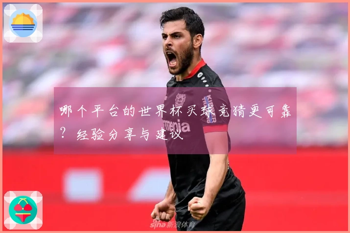 哪个平台的世界杯买球竞猜更可靠？经验分享与建议