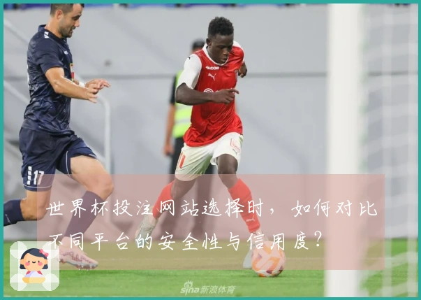 世界杯投注网站选择时，如何对比不同平台的安全性与信用度？