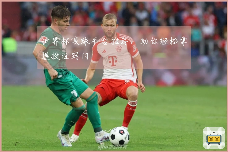 世界杯滚球平台推荐，助你轻松掌握投注窍门