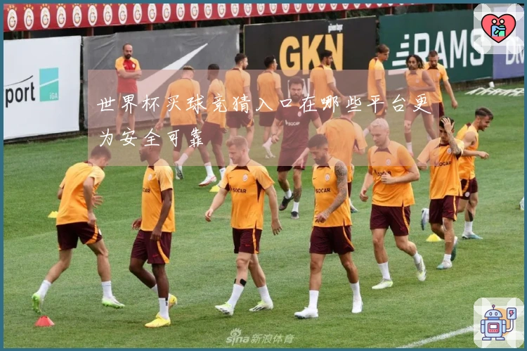 世界杯买球竞猜入口在哪些平台更为安全可靠