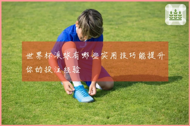世界杯滚球有哪些实用技巧能提升你的投注经验