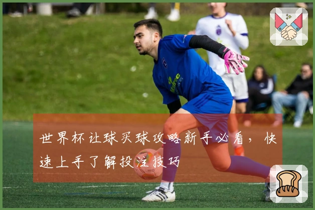 世界杯让球买球攻略新手必看，快速上手了解投注技巧