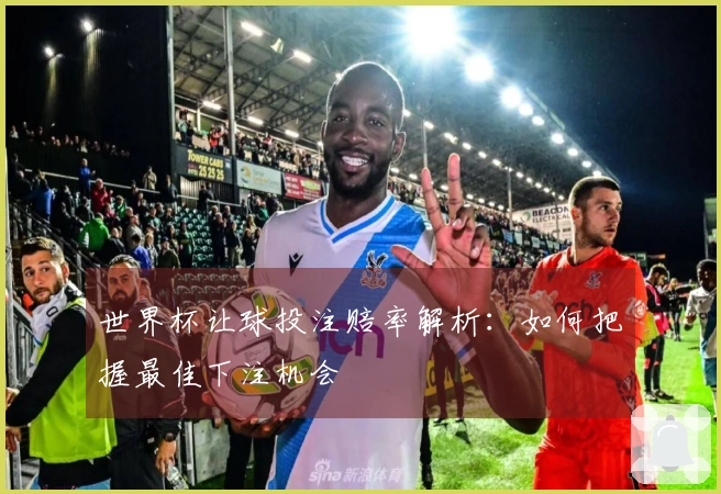 世界杯让球投注赔率解析：如何把握最佳下注机会