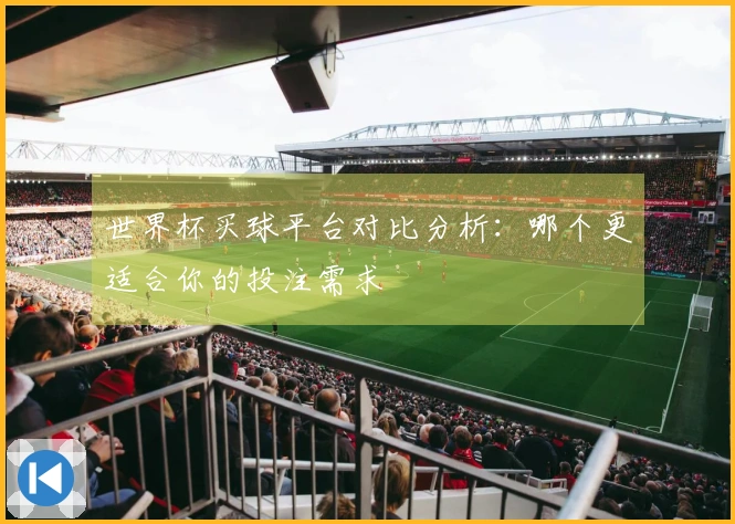 世界杯买球平台对比分析：哪个更适合你的投注需求