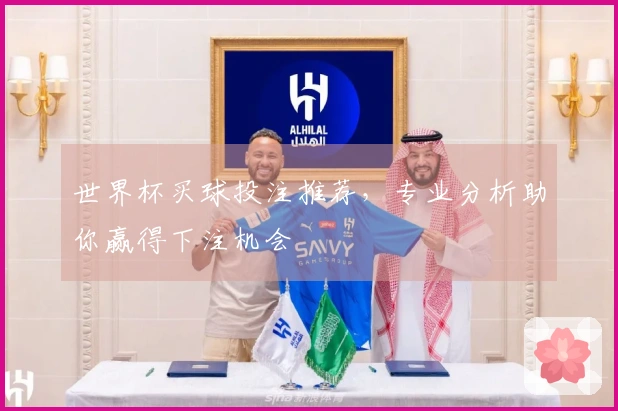 世界杯买球投注推荐，专业分析助你赢得下注机会