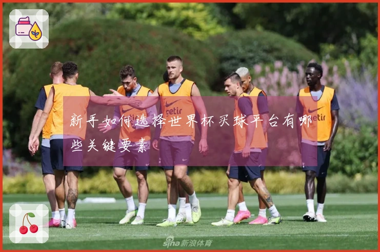 新手如何选择世界杯买球平台有哪些关键要素