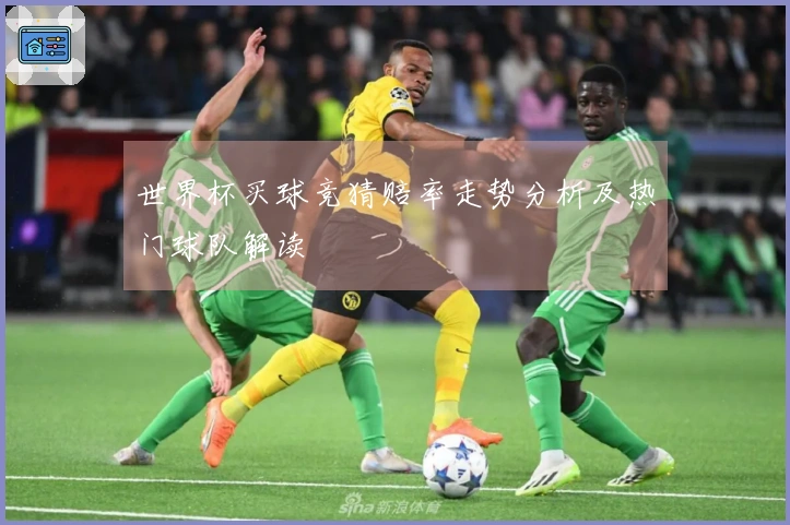 世界杯买球竞猜赔率走势分析及热门球队解读