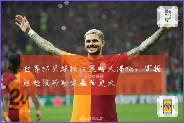 世界杯买球投注策略大揭秘，掌握这些技巧助你赢面更大