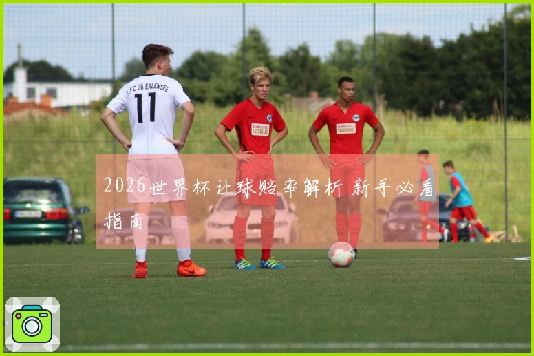 2026世界杯让球赔率解析 新手必看指南