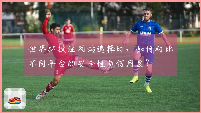 世界杯投注网站选择时，如何对比不同平台的安全性与信用度？