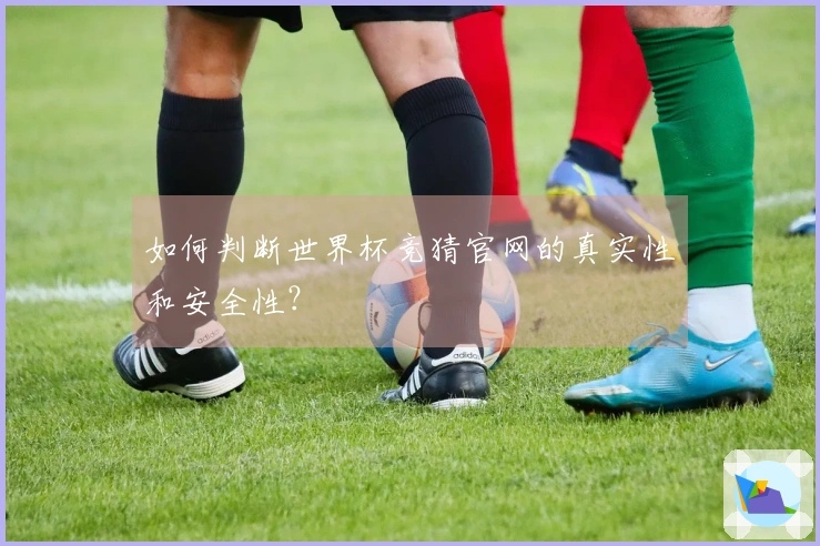 如何判断世界杯竞猜官网的真实性和安全性？