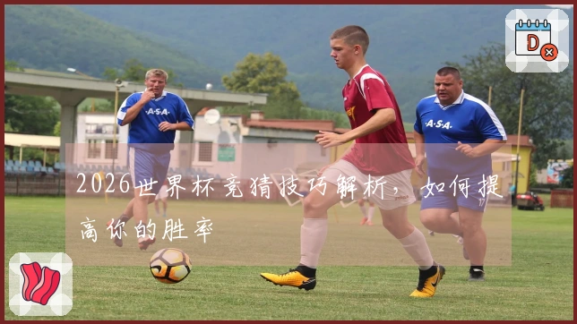 2026世界杯竞猜技巧解析，如何提高你的胜率